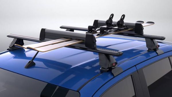 Ski/Snowboard Carrier